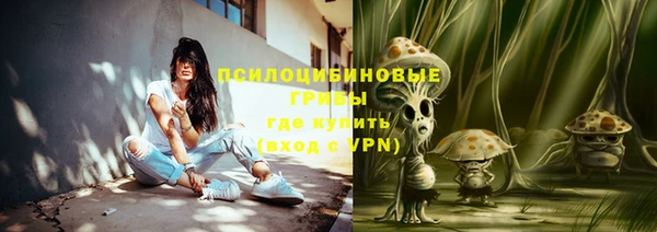 твердый Алексеевка