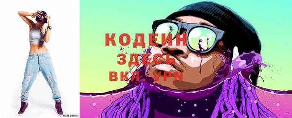 индика Алзамай