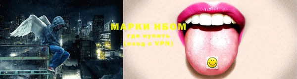 индика Алзамай