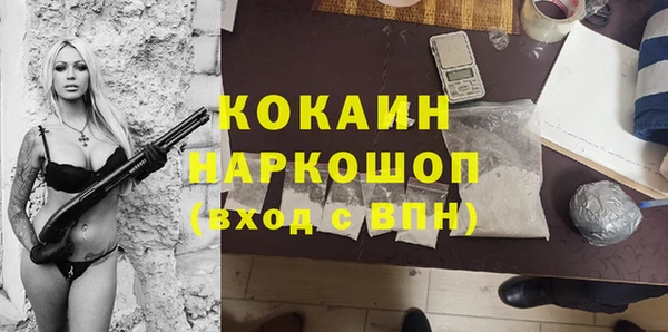 индика Алзамай