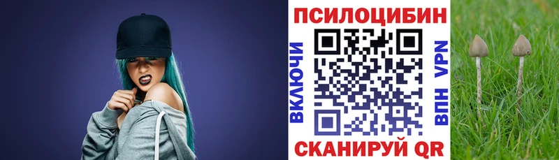 где можно купить   Похвистнево  Галлюциногенные грибы прущие грибы 