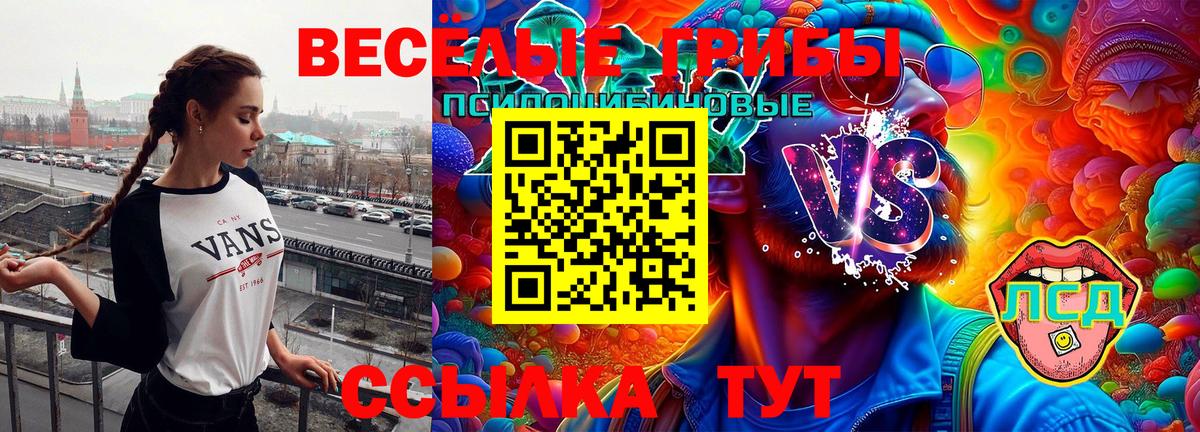 Похвистнево  что такое наркотик  Вход с VPN  Галлюциногенные грибы мухоморы 