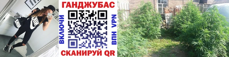 МАРИХУАНА гибрид  Похвистнево 
